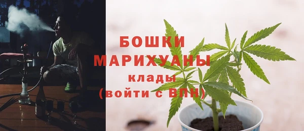 СК Дмитровск