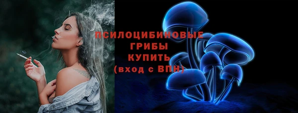 соль ск Дмитров