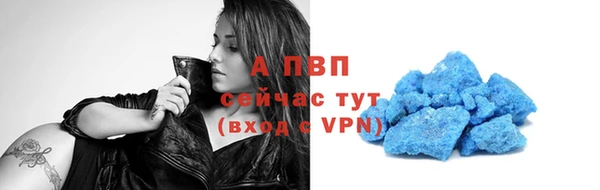 СК Дмитровск