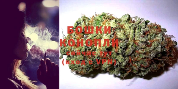СК Дмитровск