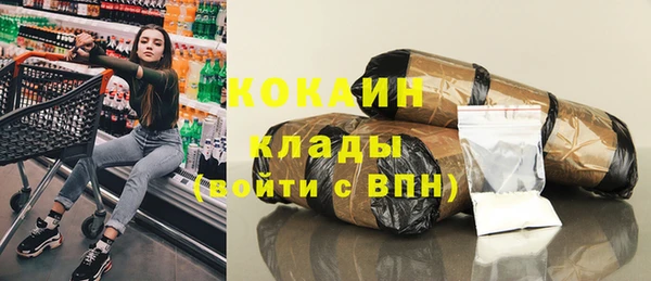 соль ск Дмитров