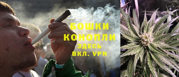СК Дмитровск