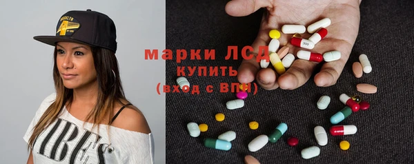 соль ск Дмитров