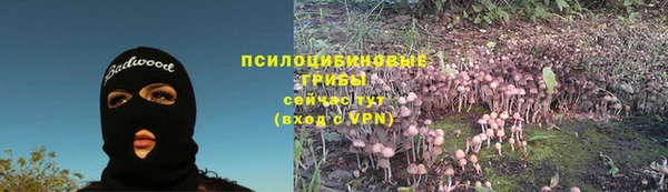 ALPHA-PVP Дмитриев